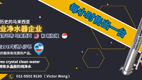 网红同款过滤器