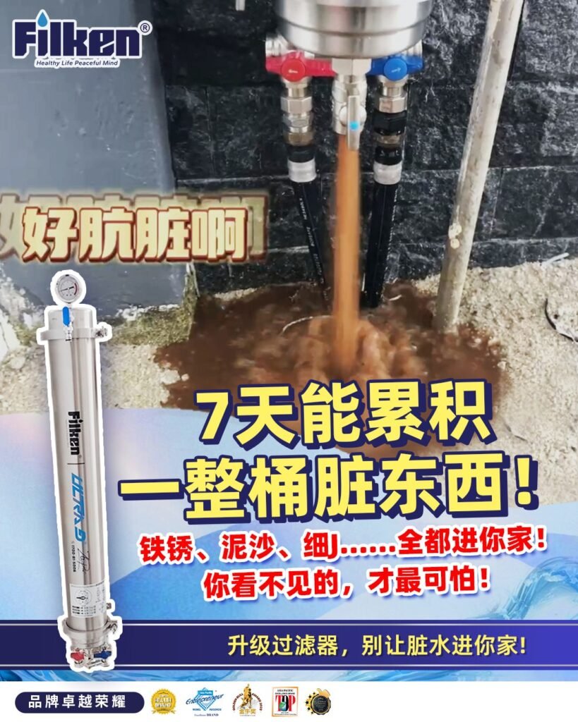 网红同款过滤器