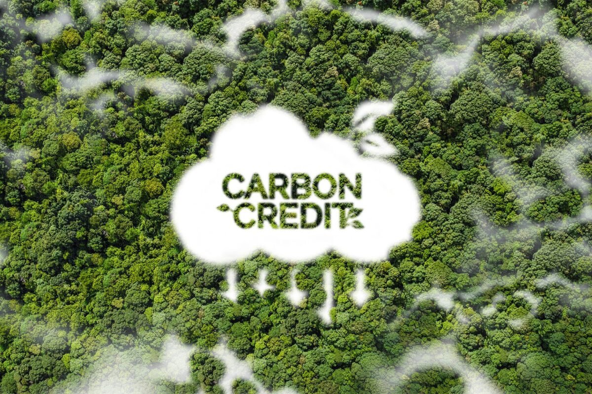 别再让 ESG 变口号 马来西亚企业落实 carbon credit 的避坑指南