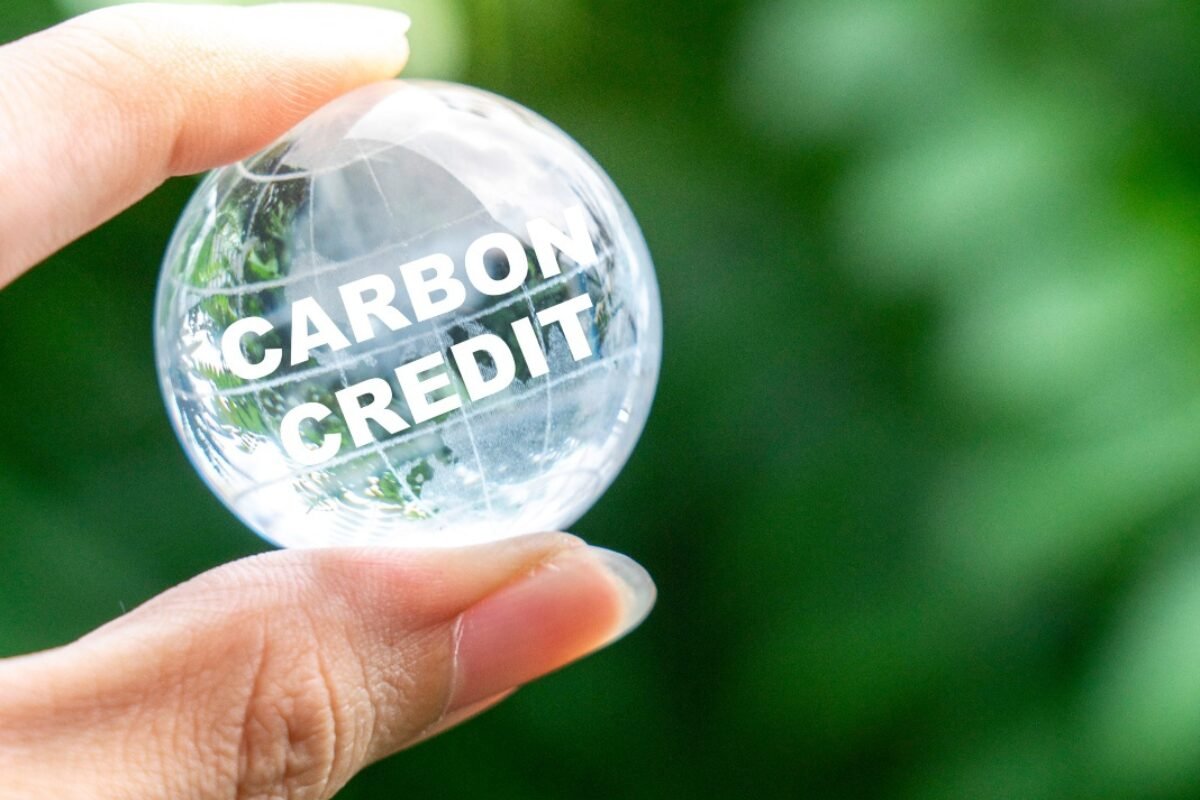 走在 KL 街头都在谈的环保趋势:到底什么是 carbon credit
