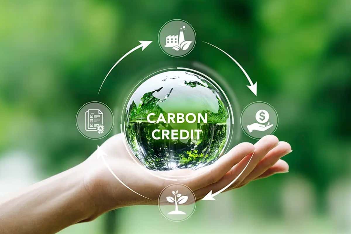 大家都在问,但真正成交的却不多,企业第一次面对碳信用额交易的真实困惑