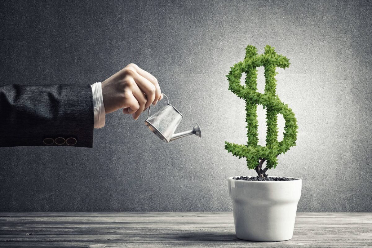 财富可以自己成长,但安全感需要被安排