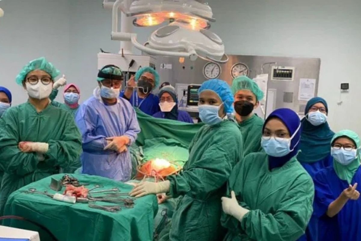 法律边界清晰化:遗嘱的适用范围与限制——器官捐赠要写在遗嘱吗?权威范围限定指南。