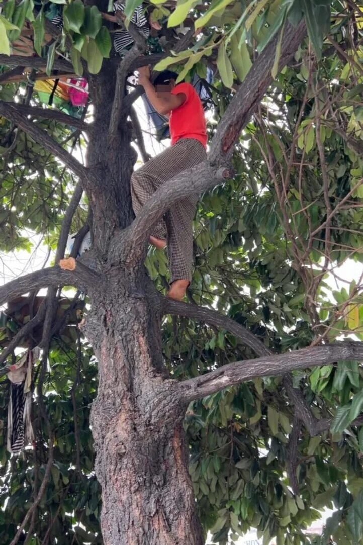 吉隆坡男子树上居住半年