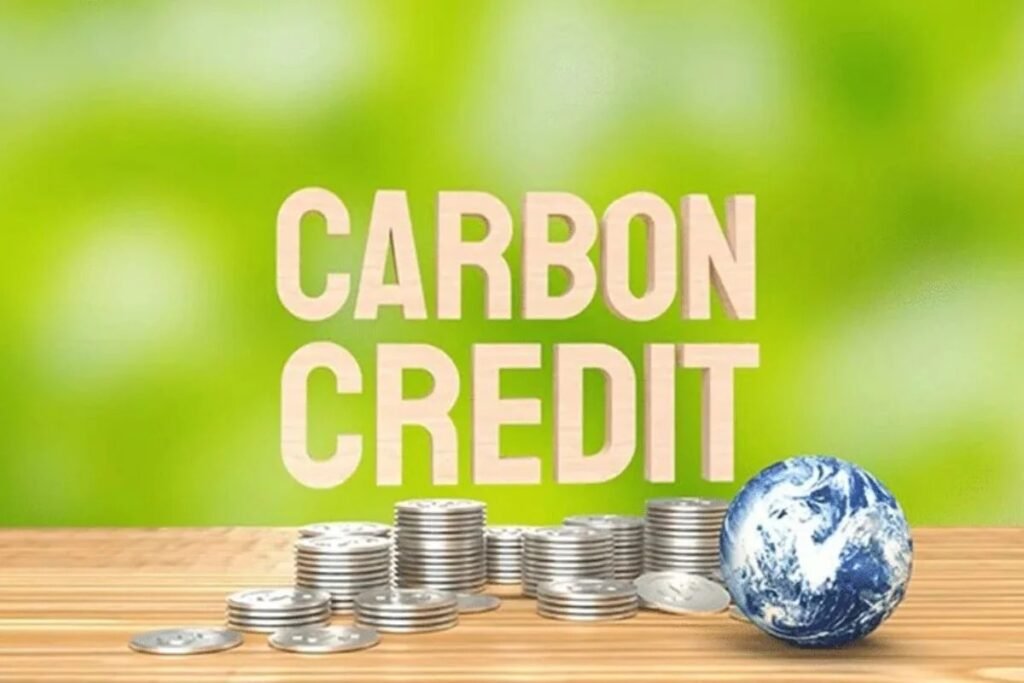 线上购买 carbon credit