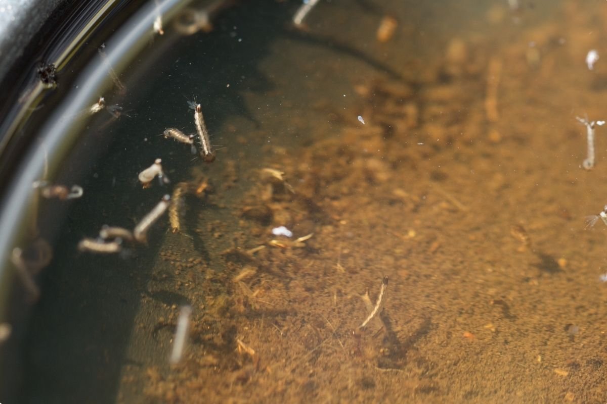 大马人被黄泥水折磨到怕?为什么选对马来西亚本地净水器品牌能解决你全家的用水痛点