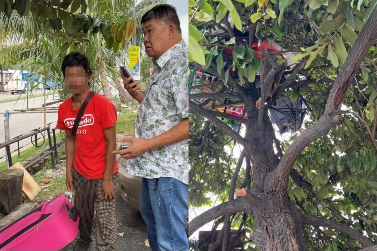 吉隆坡男子树上居住半年 生活困境引社会关注