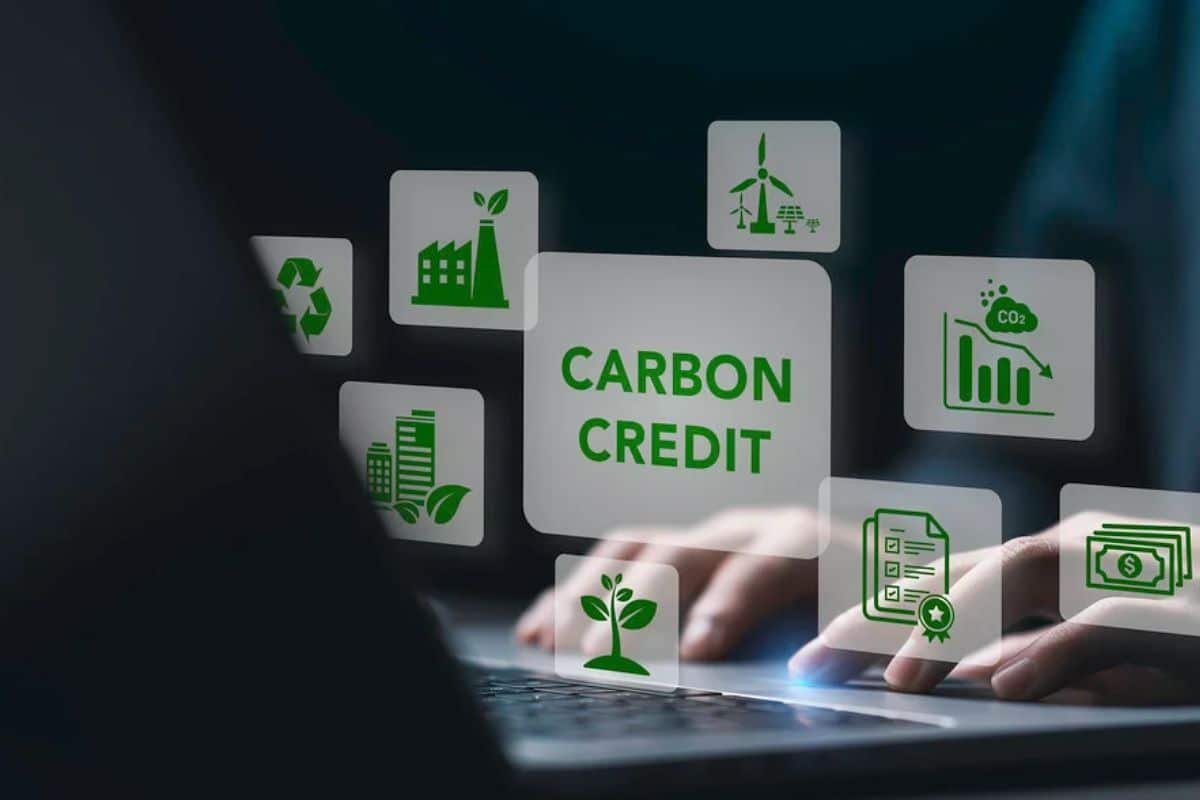 老板们真正害怕的,是买错碳信用