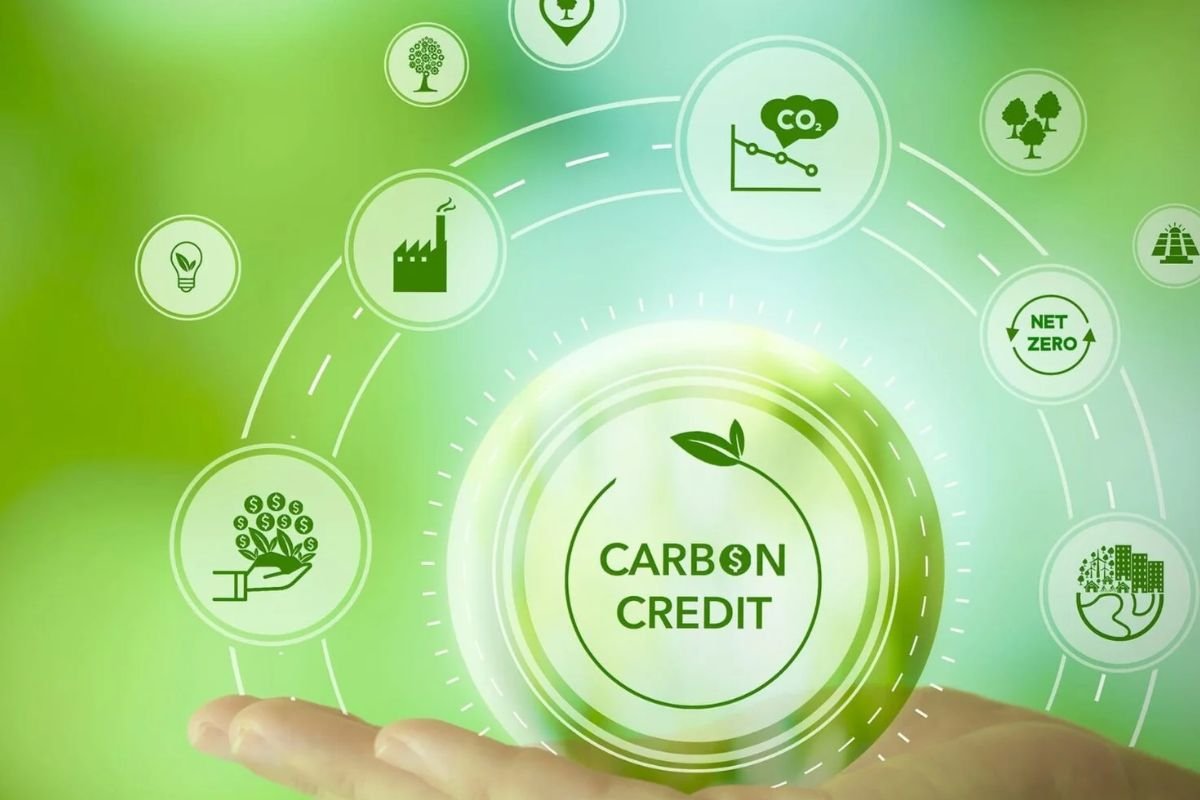 别再误会了:碳信用不是“买空气”