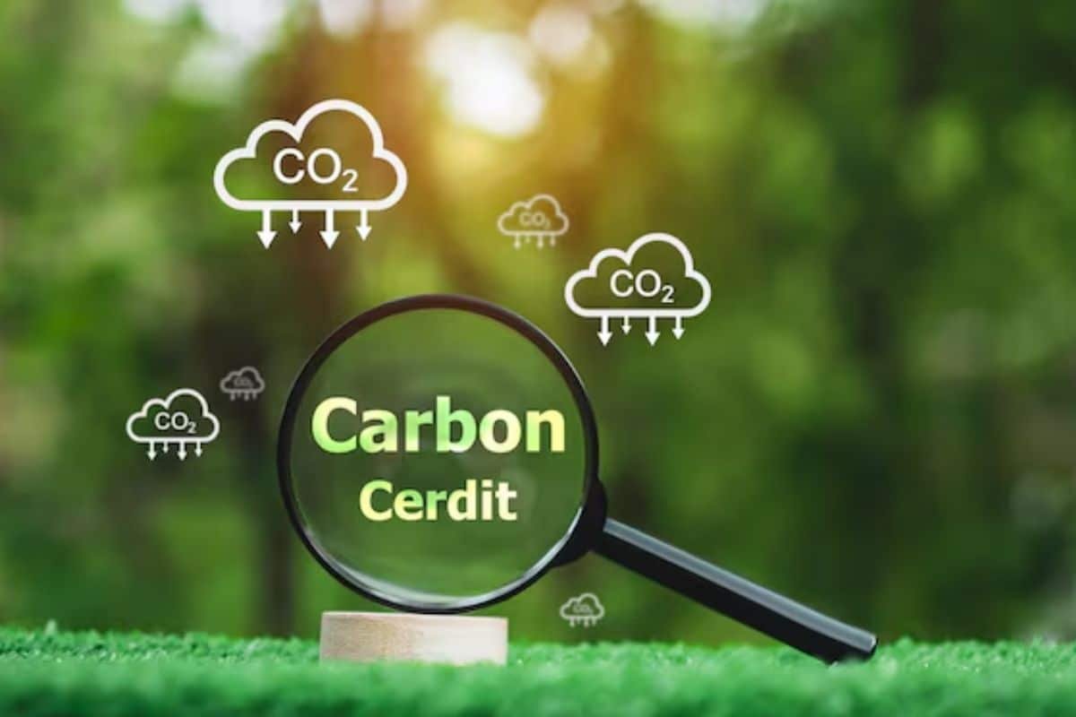 不用请专家,也能完成碳抵消购买