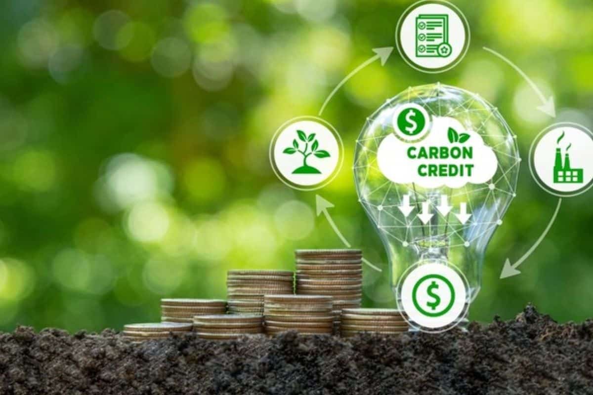 跨国订单也要看“绿色成绩单”?