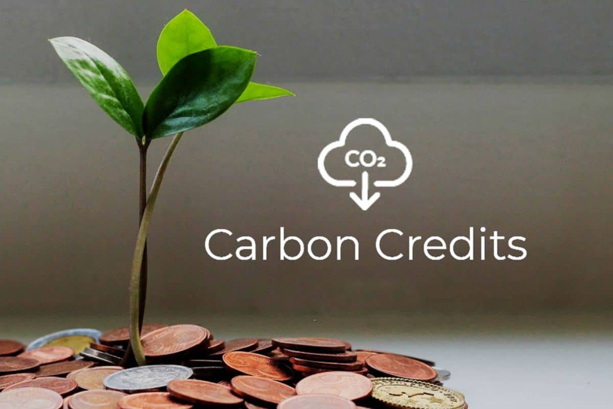 那张“绿色入场券”